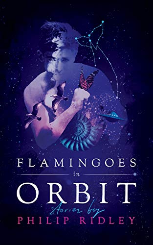 Flamingoes in Orbit [Paperback]
