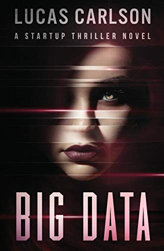 Big Data A Startup Thriller Novel (volume 2) [Paperback]