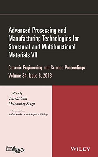 Advanced Processing and Manufacturing Technologies for Structural and Multifunct [Hardcover]
