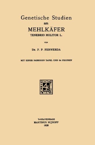 Genetische Studien am Mehlk}}fer Tenebrio Molitor L [Paperback]