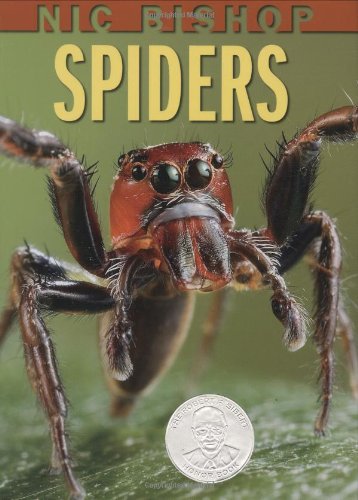 Nic Bishop Spiders [Hardcover]