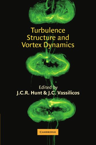 Turbulence Structure and Vortex Dynamics [Paperback]