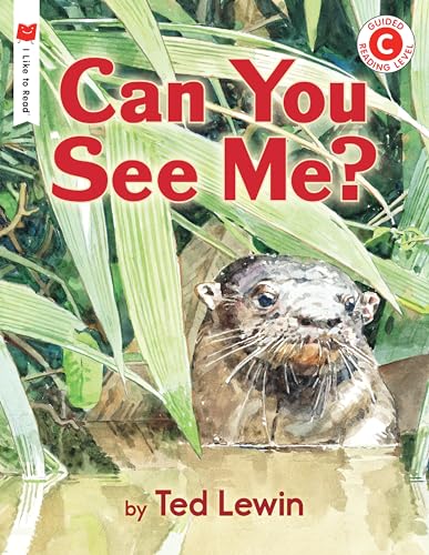 Can You See Me [Paperback]