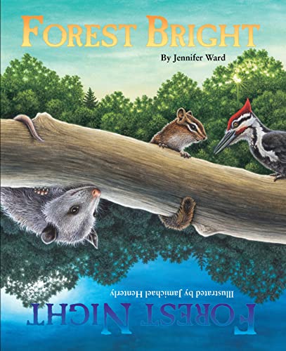 Forest Bright, Forest Night [Paperback]