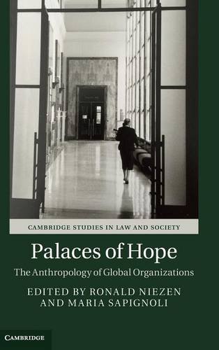 Palaces of Hope The Anthropology of Global Organizations [Hardcover]