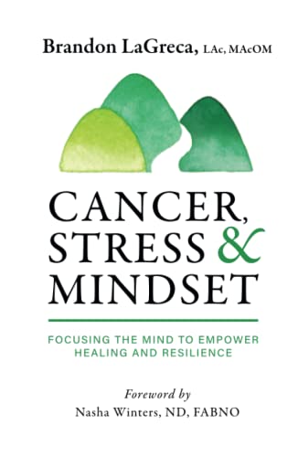 Cancer, Stress & Mindset  Focusing the Mind to Empower Healing and Resilience [Hardcover]