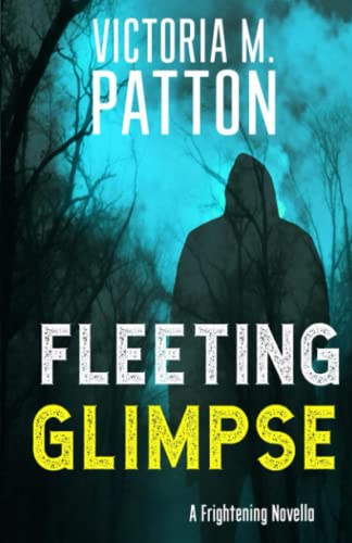 Fleeting Glimpse [Paperback]
