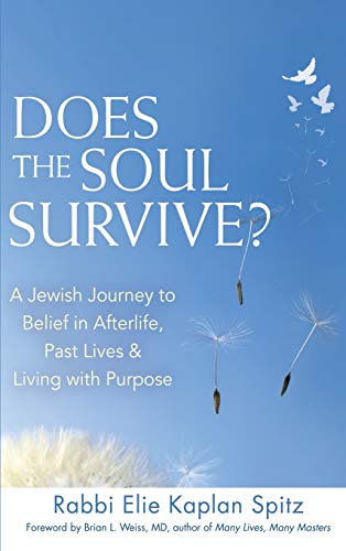 Does the Soul Survive (2nd Edition) A Jewish Journey to Belief in Afterlife,   [Hardcover]