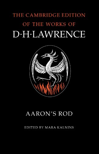 Aaron's Rod [Paperback]