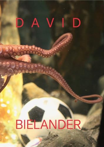 David Bielander Twenty Years. 2016-1996 [Hardcover]