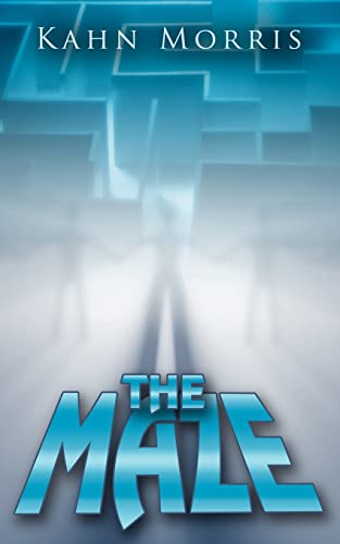Maze [Paperback]