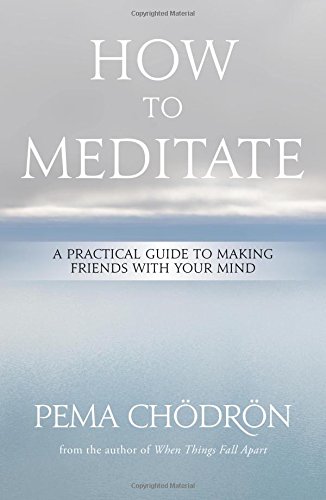 How To Meditate A Practical Guide To Making Friends With Your Mind [Hardcover]