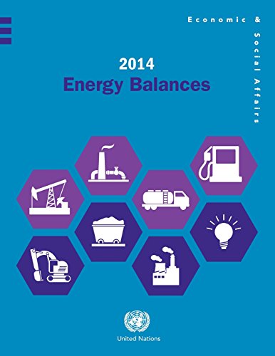 2014 Energy Balances [Paperback]