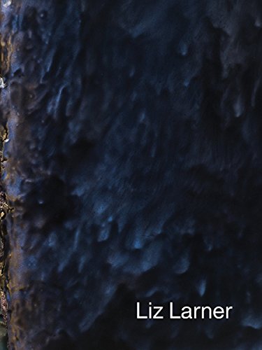 Liz Larner [Paperback]