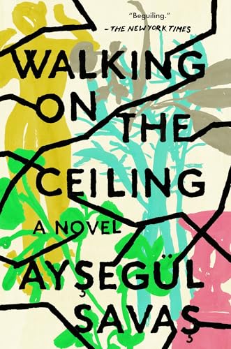 Walking on the Ceiling A Novel [Paperback]