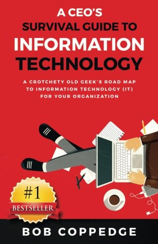 CEO's Survival Guide to Information Technology [Paperback]
