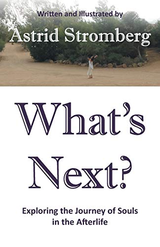 What's Next Exploring The Journey Of Souls In The Afterlife [Paperback]