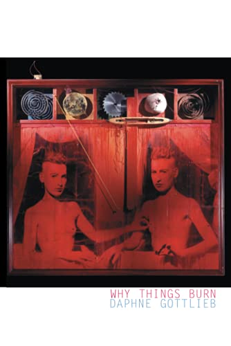 Why Things Burn Poems [Paperback]