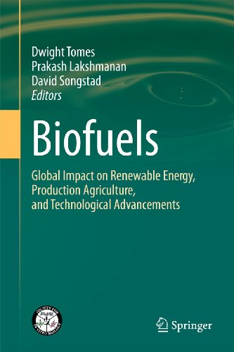 Biofuels Global Impact on Renewable Energy, Production Agriculture, and Technol [Paperback]