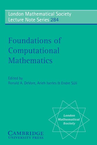 Foundations of Computational Mathematics [Paperback]