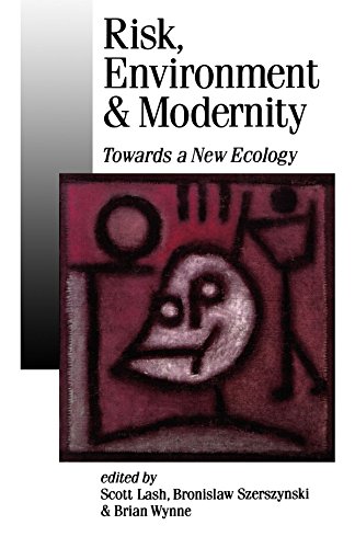 Risk, Environment and Modernity Towards a New Ecology [Paperback]