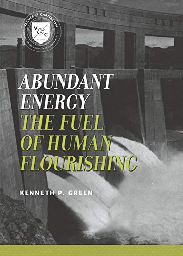 Abundant Energy The Fuel of Human Flourishing [Paperback]