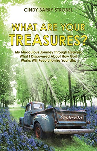 What Are Your Treasures My Miraculous Journey Through Heaven What I Discovere [Paperback]