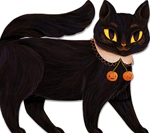 One Black Cat [Board book]