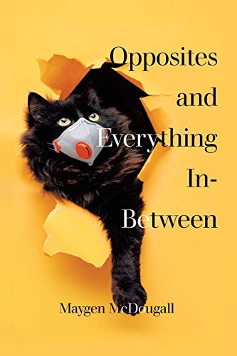 Opposites and Everything In-Between [Paperback]