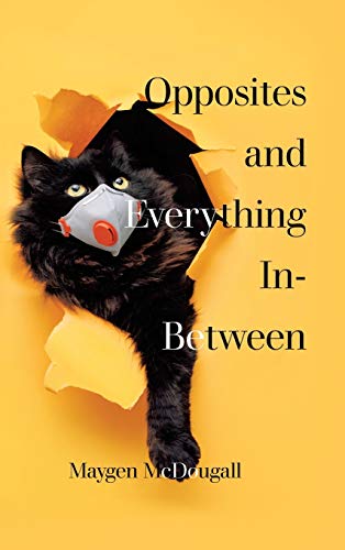 Opposites and Everything In-Between [Hardcover]