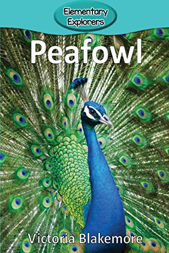 Peafowl (elementary Explorers) [Paperback]