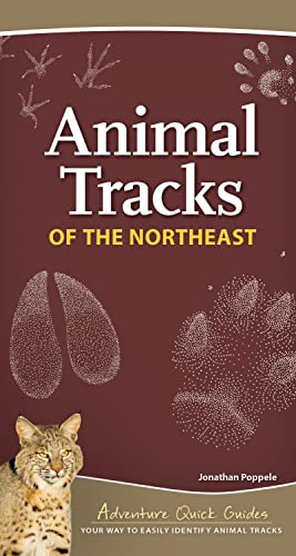 Animal Tracks of the Northeast Your Way to Easily Identify Animal Tracks [Spiral bound]