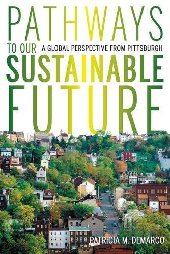 Pathways to Our Sustainable Future A Global Perspective from Pittsburgh [Paperback]