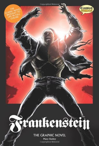 Frankenstein The Graphic Novel Original Text [Paperback]
