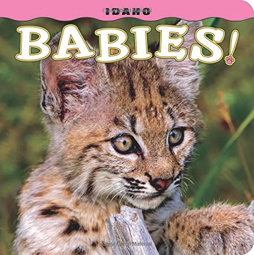 Idaho Babies [Board book]