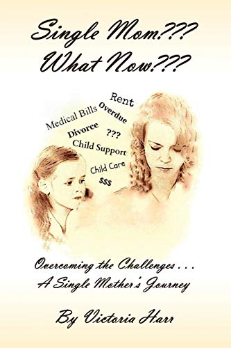 Single Mom What Now [Paperback]