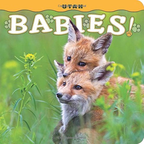 Utah Babies [Board book]