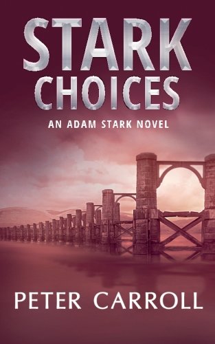 Stark Choices An Adam Stark Novel [Paperback]