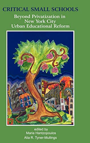 Critical Small Schools Beyond Privatization In New York City Urban Educational  [Hardcover]