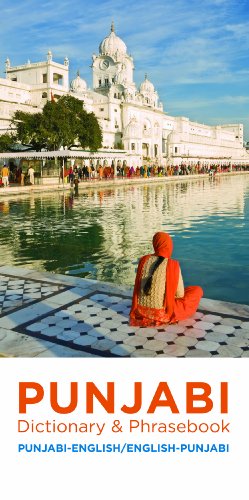Punjabi-English/english-Punjabi Dictionary & Phrasebook [Paperback]