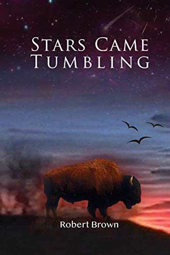 Stars Came Tumbling [Paperback]