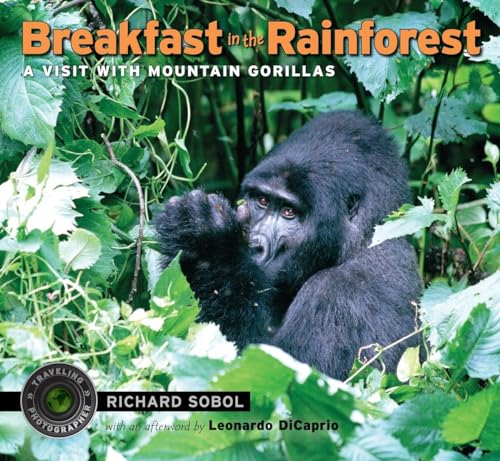 Breakfast in the Rainforest A Visit with Mountain Gorillas [Paperback]