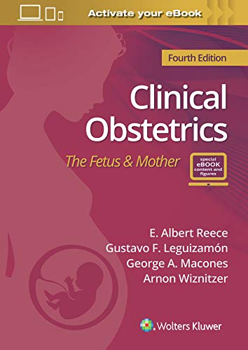 Clinical Obstetrics The Fetus &amp Mother [Hardcover]