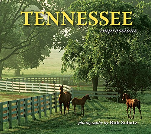 Tennessee Impressions [Paperback]