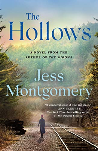 The Hollows A Novel [Paperback]