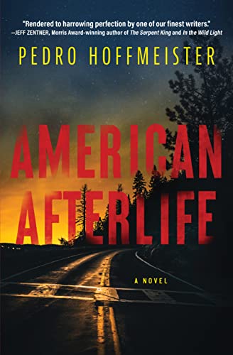 American Afterlife A Novel [Hardcover]