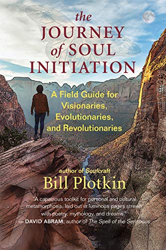 The Journey of Soul Initiation A Field Guide for Visionaries, Evolutionaries, a [Paperback]