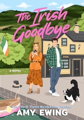 The Irish Goodbye A Novel [Paperback]