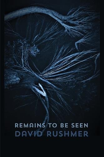 Remains to Be Seen [Paperback]