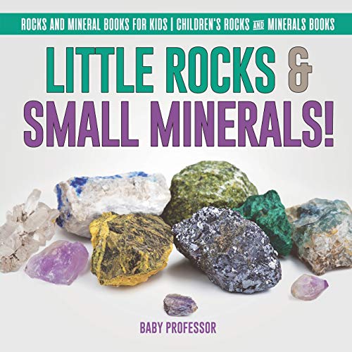 Little Rocks & Small Minerals Rocks and Mineral Books for Kids Children's Rocks [Paperback]